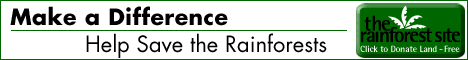 The Rainforest Site